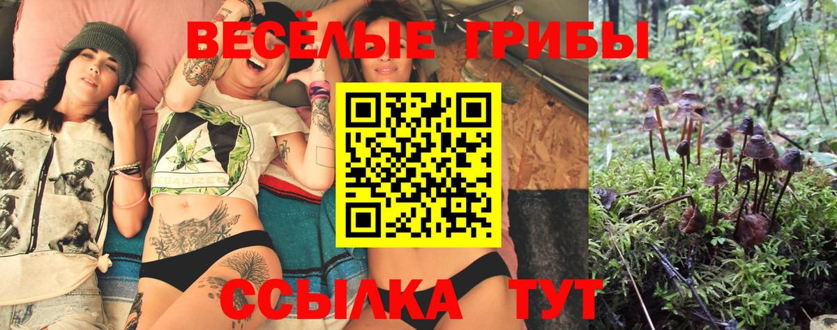 Волгоград  Псилоцибиновые грибы ЛСД  Вход с VPN  Галлюциногенные грибы Cubensis 